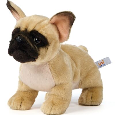 Bulldog francese (beige) - Senza guinzaglio - 26 cm (lunghezza) - Parole chiave: cane, animale domestico, peluche, peluche, peluche, peluche