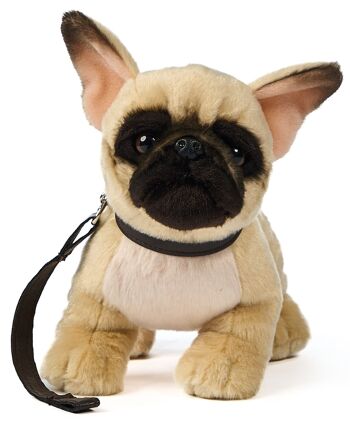 Bouledogue français (beige) - Avec laisse - 26 cm (longueur) - Mots clés : chien, animal de compagnie, peluche, peluche, peluche, peluche 2