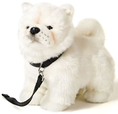 Chow Chow weiß, stehend - Mit Leine - 24 cm (Höhe) - Keywords: Hund, Haustier, Plüsch, Plüschtier, Stofftier, Kuscheltier