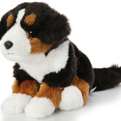 Bernese Mountain Dog Puppy, sitting - Without a leash - 19 cm (height) - Keywords: dog, pet, plush, plush toy, stuffed toy, cuddly toy