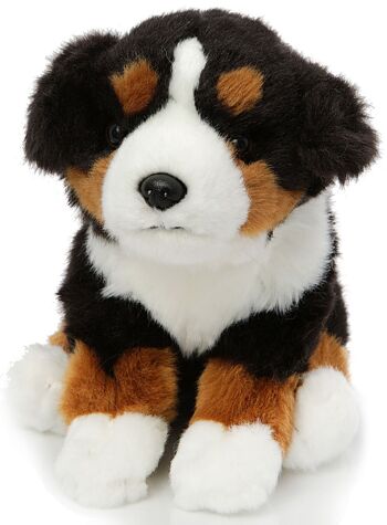 Chiot bouvier bernois, assis - Sans laisse - 19 cm (hauteur) - Mots clés : chien, animal de compagnie, peluche, peluche, peluche, peluche 2