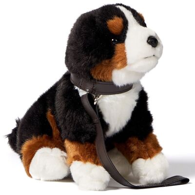 Chiot bouvier bernois, assis - Avec laisse - 19 cm (hauteur) - Mots clés : chien, animal de compagnie, peluche, peluche, peluche, peluche