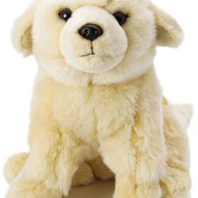 Chiot Golden Retriever, assis - Sans laisse - 18 cm (hauteur) - Mots clés : chien, animal de compagnie, peluche, peluche, peluche, peluche