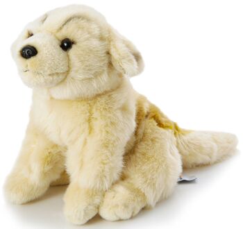 Chiot Golden Retriever, assis - Sans laisse - 18 cm (hauteur) - Mots clés : chien, animal de compagnie, peluche, peluche, peluche, peluche 2