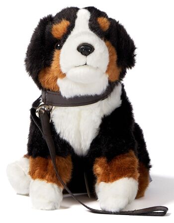 Bouvier bernois (avec laisse) - Avec voix qui aboie (son) - 19 cm (hauteur) - Mots clés : chien, animal de compagnie, peluche, peluche, peluche, peluche 2