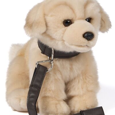 Golden Retriever (with leash) - With barking voice (sound) - 18 cm (height) - Keywords: dog, pet, plush, plush toy, stuffed animal, cuddly toy