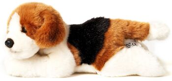Chiot Beagle, couché - 24 cm (longueur) - Mots clés : chien, animal de compagnie, peluche, peluche, peluche, peluche 2