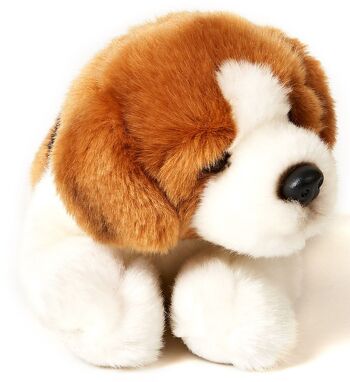 Chiot Beagle, couché - 24 cm (longueur) - Mots clés : chien, animal de compagnie, peluche, peluche, peluche, peluche 3
