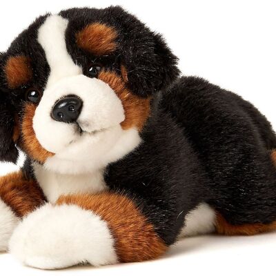 Bernese Mountain Dog puppy, lying - 24 cm (length) - Keywords: dog, pet, plush, plush toy, stuffed animal, cuddly toy