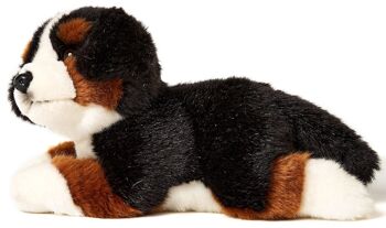 Chiot bouvier bernois, couché - 24 cm (longueur) - Mots clés : chien, animal de compagnie, peluche, peluche, peluche, peluche 3