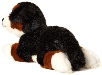 Chiot bouvier bernois, couché - 24 cm (longueur) - Mots clés : chien, animal de compagnie, peluche, peluche, peluche, peluche 4
