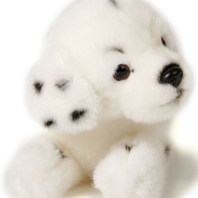 Dalmatian puppy, lying - 23 cm (length) - Keywords: dog, pet, plush, plush toy, stuffed animal, cuddly toy