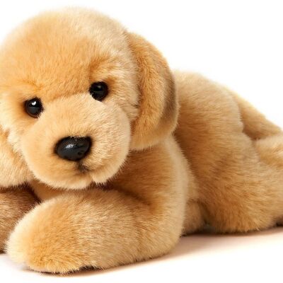 Chiot Golden Retriever, couché - 24 cm (longueur) - Mots clés : chien, animal de compagnie, peluche, peluche, peluche, peluche