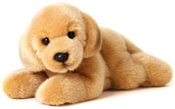 Chiot Golden Retriever, couché - 24 cm (longueur) - Mots clés : chien, animal de compagnie, peluche, peluche, peluche, peluche 1