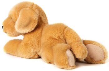 Chiot Golden Retriever, couché - 24 cm (longueur) - Mots clés : chien, animal de compagnie, peluche, peluche, peluche, peluche 3