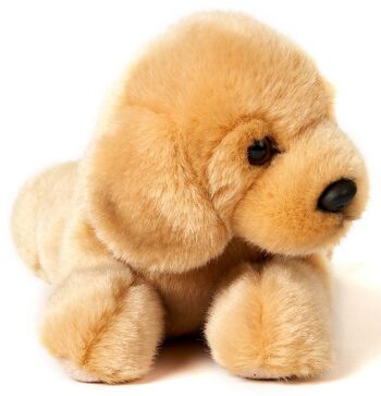 Chiot Golden Retriever, couché - 24 cm (longueur) - Mots clés : chien, animal de compagnie, peluche, peluche, peluche, peluche 4