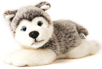 Chiot Husky gris, couché - 23 cm (longueur) - Mots clés : chien, animal de compagnie, peluche, peluche, peluche, peluche 3