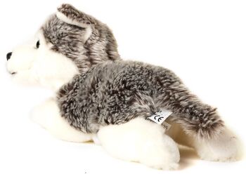Chiot Husky gris, couché - 23 cm (longueur) - Mots clés : chien, animal de compagnie, peluche, peluche, peluche, peluche 4