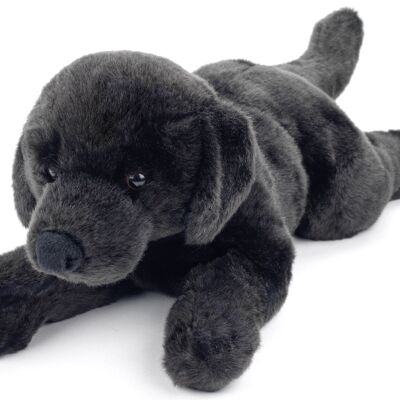Labrador schwarz, liegend - 40 cm (Länge) - Keywords: Hund, Haustier, Plüsch, Plüschtier, Stofftier, Kuscheltier