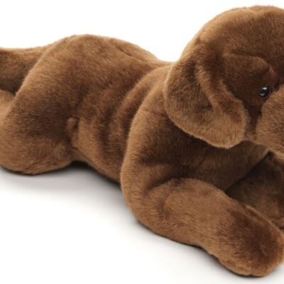 Labrador marron, couché - 40 cm (longueur) - Mots clés : chien, animal de compagnie, peluche, peluche, peluche, peluche