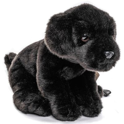 Chiot Labrador (noir), avec laisse - 23 cm (hauteur) - Mots clés : chien, animal de compagnie, peluche, peluche, peluche, peluche