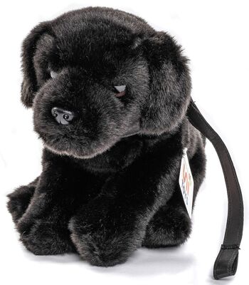 Chiot Labrador (noir), avec laisse - 23 cm (hauteur) - Mots clés : chien, animal de compagnie, peluche, peluche, peluche, peluche 2