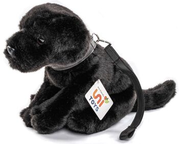 Chiot Labrador (noir), avec laisse - 23 cm (hauteur) - Mots clés : chien, animal de compagnie, peluche, peluche, peluche, peluche 3