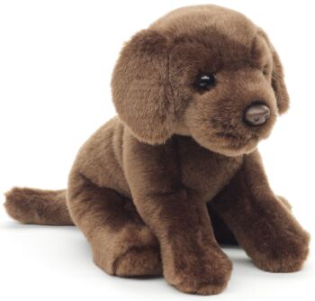 Chiot Labrador (marron) - Sans laisse - 23 cm (hauteur) - Mots clés : chien, animal de compagnie, peluche, peluche, peluche, peluche 1