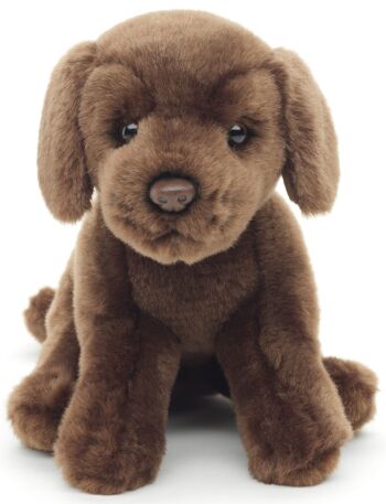 Chiot Labrador (marron) - Sans laisse - 23 cm (hauteur) - Mots clés : chien, animal de compagnie, peluche, peluche, peluche, peluche 2