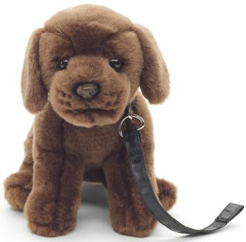 Chiot Labrador (marron) - Avec laisse - 23 cm (hauteur) - Mots clés : chien, animal de compagnie, peluche, peluche, peluche, peluche 2