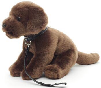Chiot Labrador (marron) - Avec laisse - 23 cm (hauteur) - Mots clés : chien, animal de compagnie, peluche, peluche, peluche, peluche 3