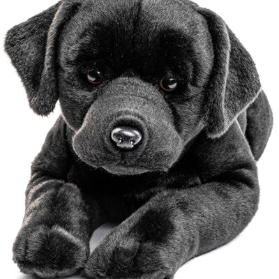 Labrador, couché, avec harnais (noir) - 60 cm (longueur) - Mots clés : chien, animal de compagnie, peluche, peluche, peluche, peluche