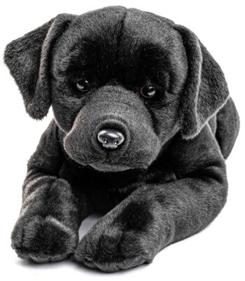Labrador, couché, avec harnais (noir) - 60 cm (longueur) - Mots clés : chien, animal de compagnie, peluche, peluche, peluche, peluche 1