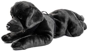 Labrador, couché, avec harnais (noir) - 60 cm (longueur) - Mots clés : chien, animal de compagnie, peluche, peluche, peluche, peluche 2
