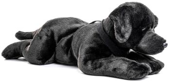 Labrador, couché, avec harnais (noir) - 60 cm (longueur) - Mots clés : chien, animal de compagnie, peluche, peluche, peluche, peluche 3