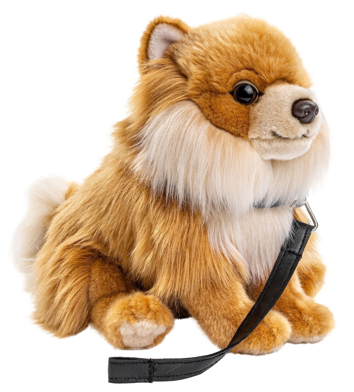 Pomerania, sentado (con correa) - 23 cm (altura) - Palabras clave: perro, mascota, peluche, peluche, peluche, peluche