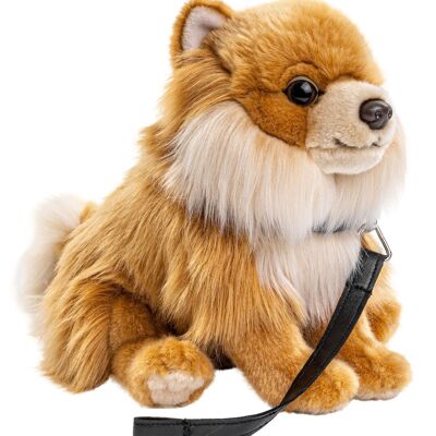 Pomeranian, sitting (with leash) - 23 cm (height) - Keywords: dog, pet, plush, plush toy, stuffed animal, cuddly toy
