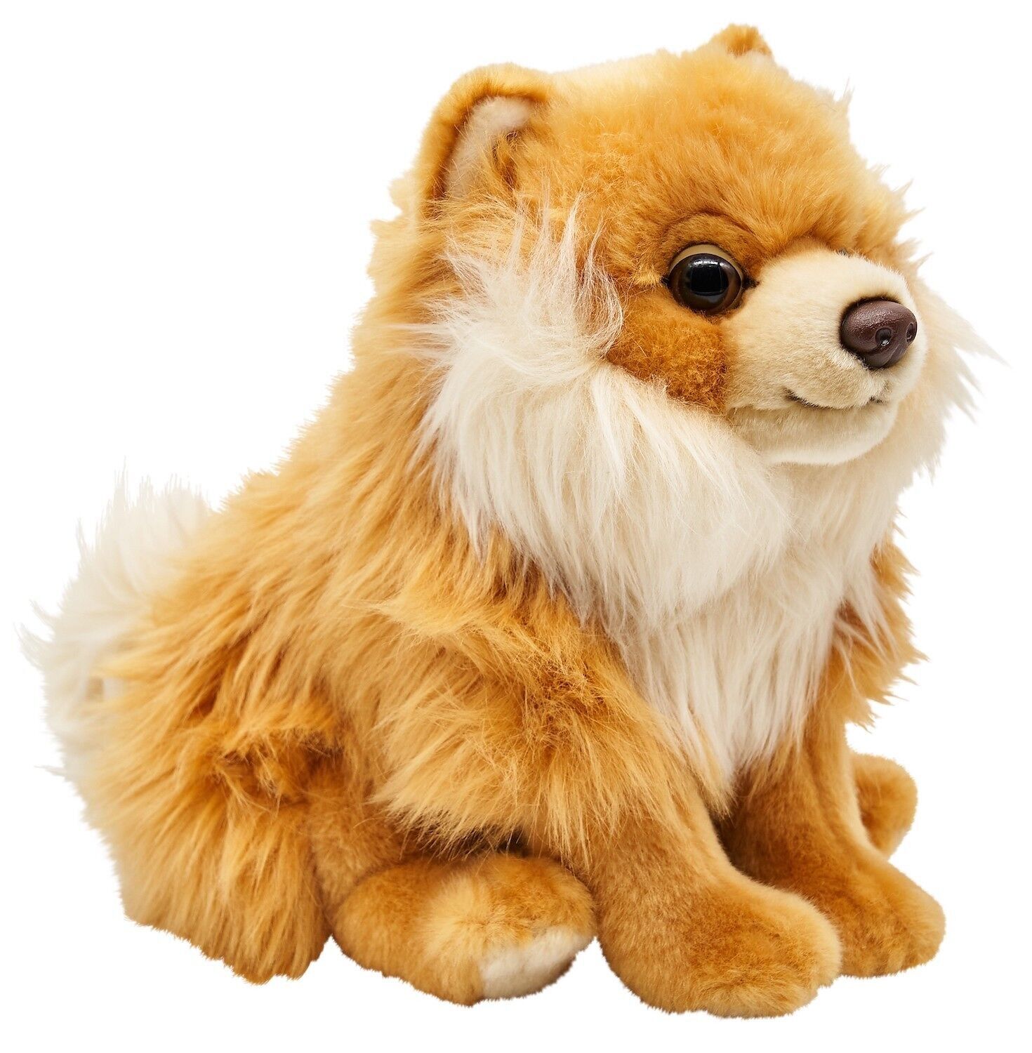 Pomerania, sentado (sin correa) - 23 cm (altura) - Palabras clave: perro, mascota, peluche, peluche, peluche, peluche