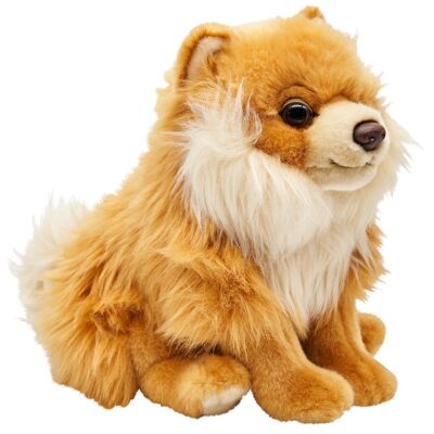 Pomerania, sentado (sin correa) - 23 cm (altura) - Palabras clave: perro, mascota, peluche, peluche, peluche, peluche