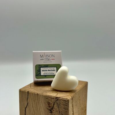 Scented Melt - Infuso mentolato