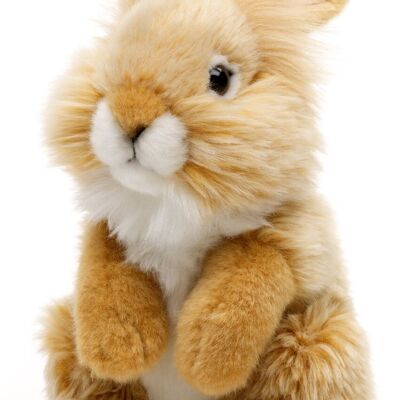 Conejo de angora, de pie (beige) - 18 cm (alto) - Palabras clave: animal del bosque, liebre, conejo, peluche, peluche, peluche, peluche