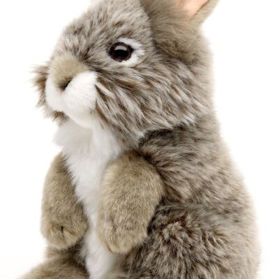 Conejo de angora, de pie (gris) - 18 cm (alto) - Palabras clave: animal del bosque, liebre, conejo, peluche, peluche, peluche, peluche