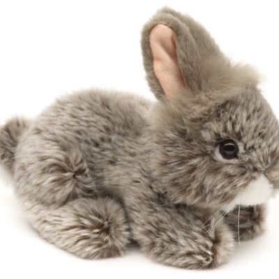 Conejo de angora, acostado (gris) - 18 cm (largo) - Palabras clave: animal del bosque, liebre, conejo, peluche, peluche, peluche, peluche