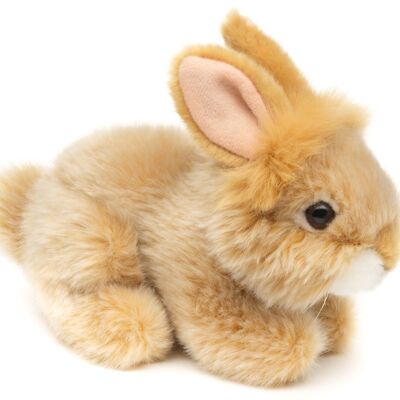 Angora rabbit, lying (beige) - 18 cm (length) - Keywords: forest animal, hare, rabbit, plush, plush toy, stuffed animal, cuddly toy