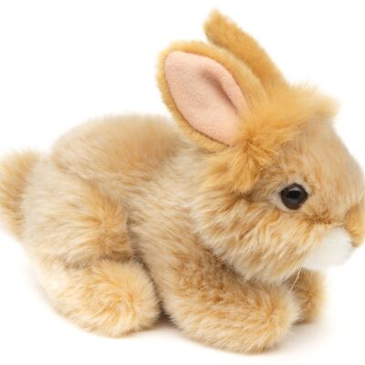 Lapin angora, couché (beige) - 18 cm (longueur) - Mots clés : animal de la forêt, lièvre, lapin, peluche, peluche, peluche, doudou