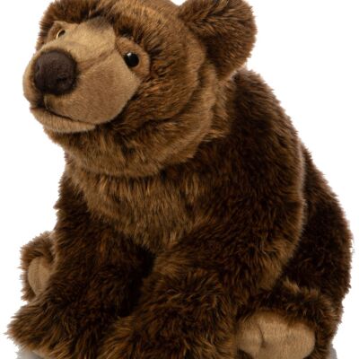 Oso pardo grande, sentado - 43 cm (largo) - Palabras clave: animal del bosque, oso, peluche, peluche, peluche, peluche