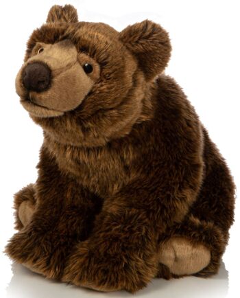 Grand ours brun, assis - 43 cm (longueur) - Mots clés : animal de la forêt, ours, peluche, peluche, peluche, peluche 1