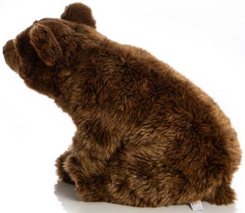 Grand ours brun, assis - 43 cm (longueur) - Mots clés : animal de la forêt, ours, peluche, peluche, peluche, peluche 2