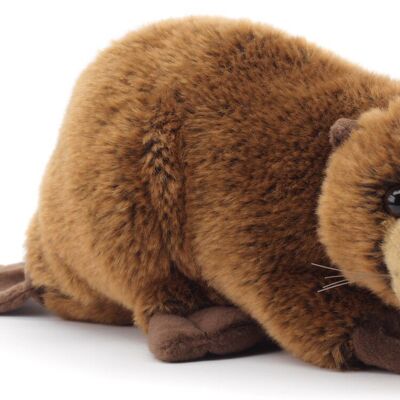 Beaver - 29 cm (length) - Keywords: forest animal, aquatic animal, plush, plush toy, stuffed animal, cuddly toy