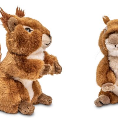 2-piece set (bundle) - sitting squirrel (height 17 cm) + lying down (length 18 cm) - Keywords: forest animal, plush, plush toy, stuffed animal, cuddly toy